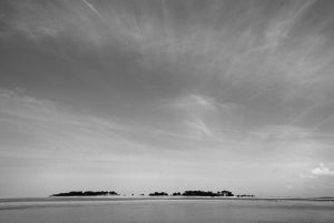 Wells 2013