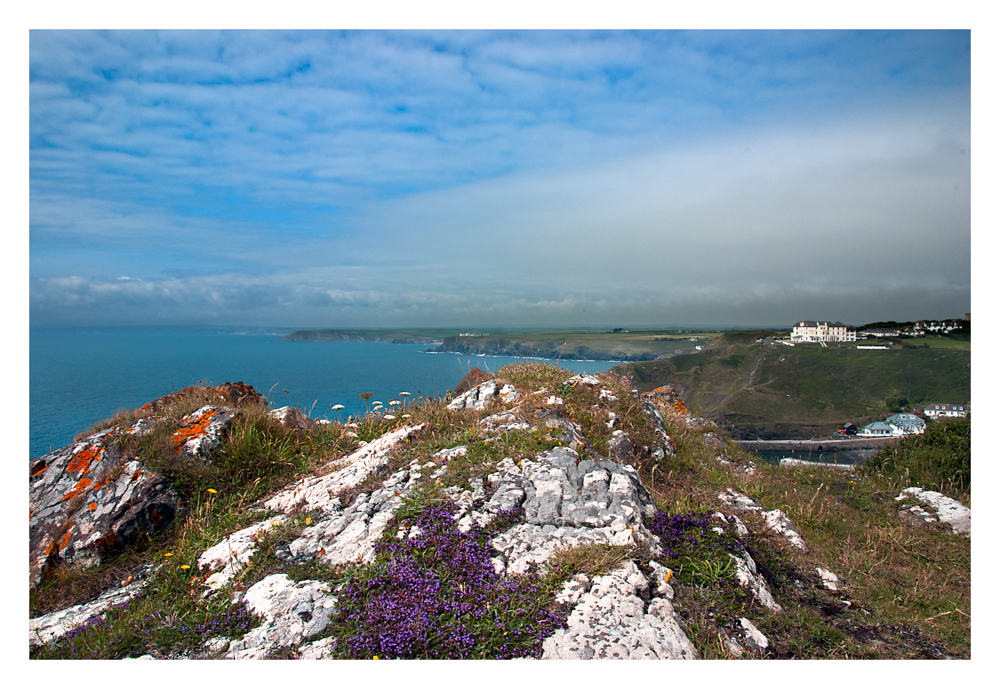 Cliffs above Mullion Cove