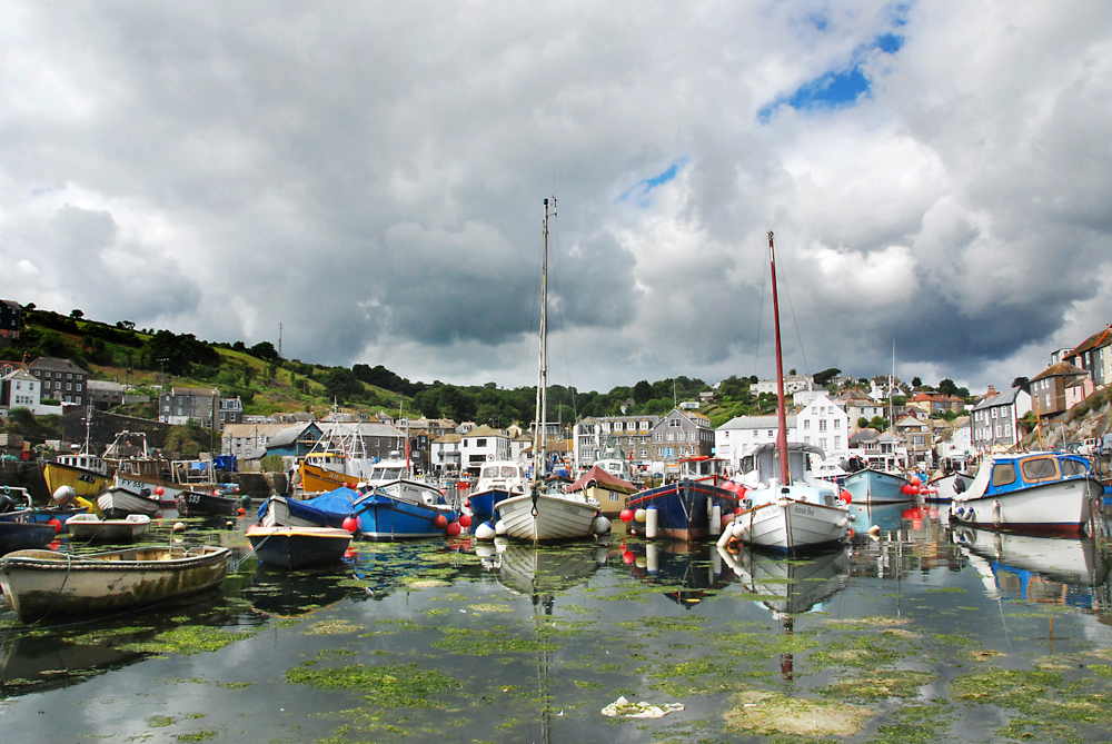 Mevagissey (6)