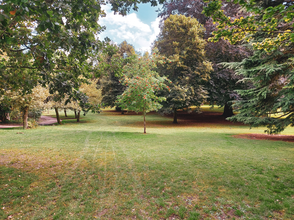 Abington Park (11 of 29)