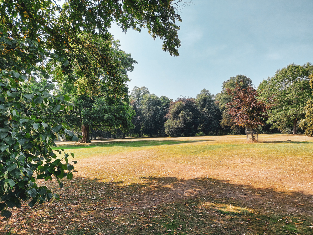 Abington Park (4 of 29)