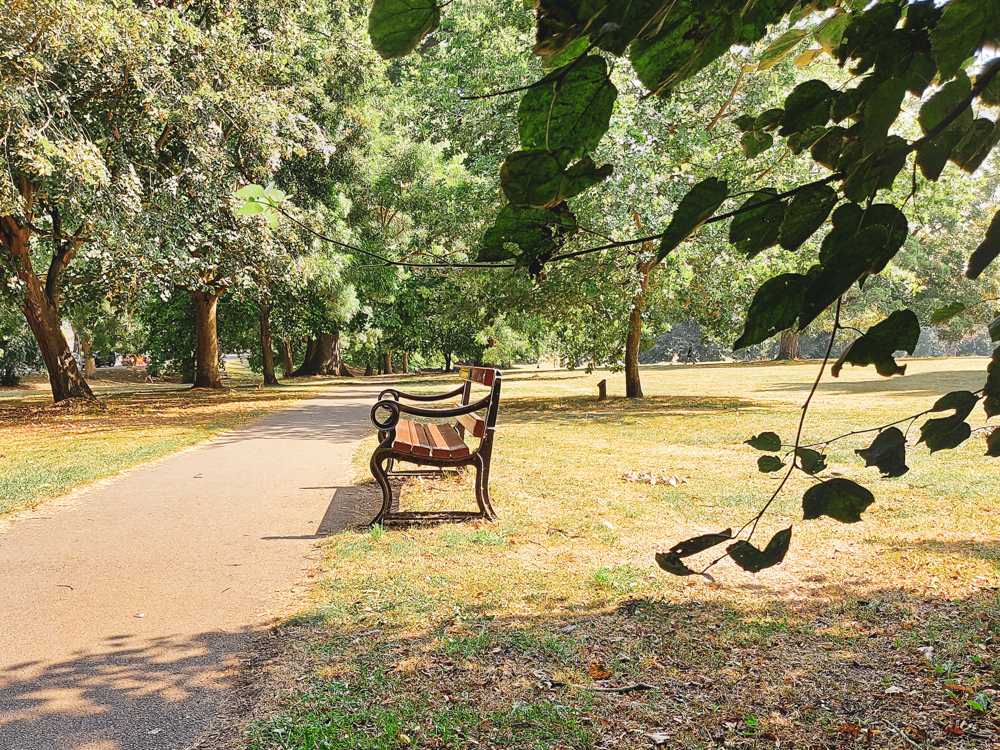 Abington Park (7 of 29)