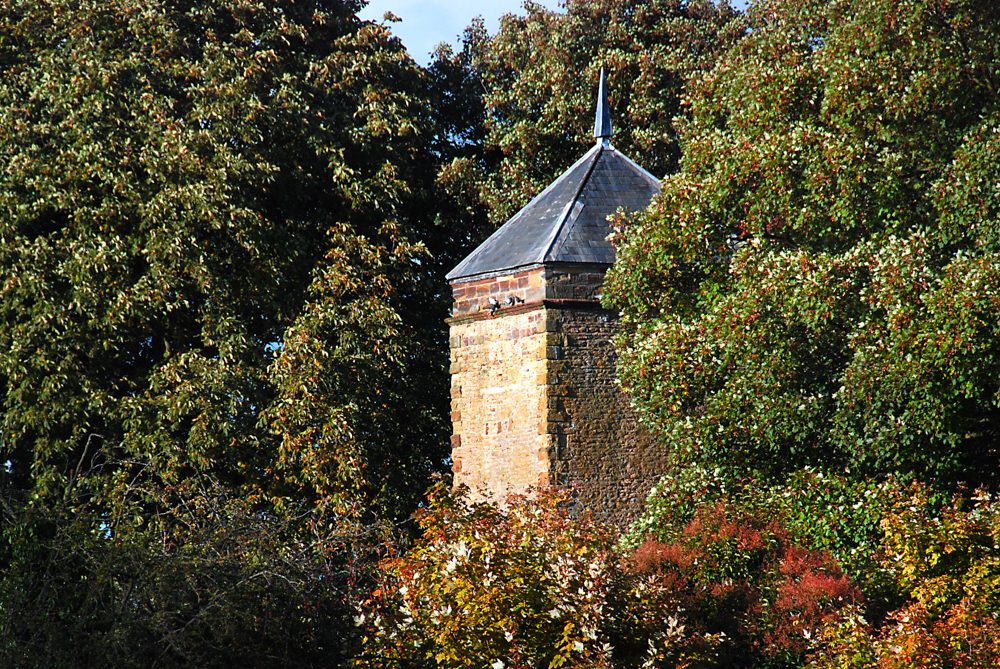 Abington Park Dove Cote