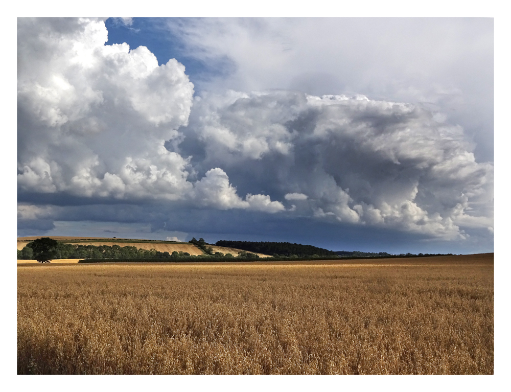 storm Hanging Houghton 17 8 20 (3 of 3)