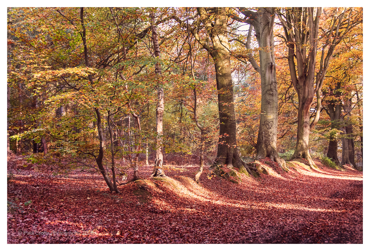 Harlestone Firs 5 11 20 (1 of 2)