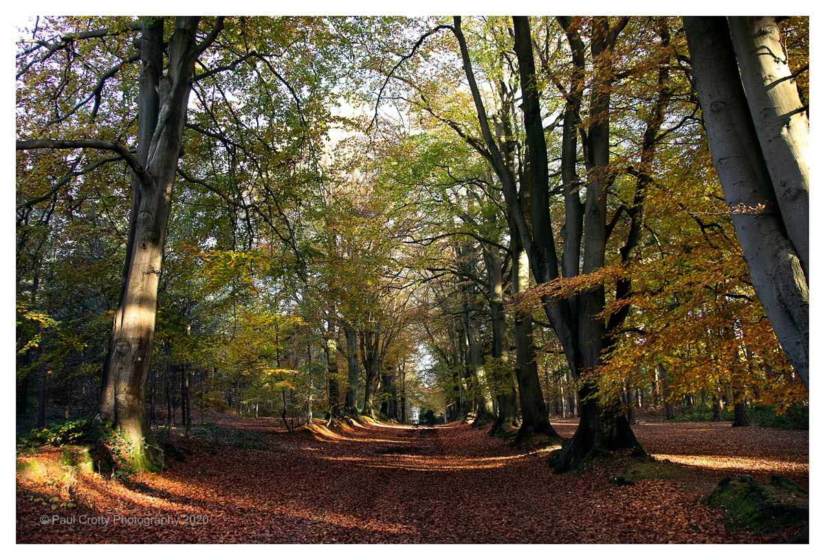 Harlestone Firs 5 11 20 (2 of 7)