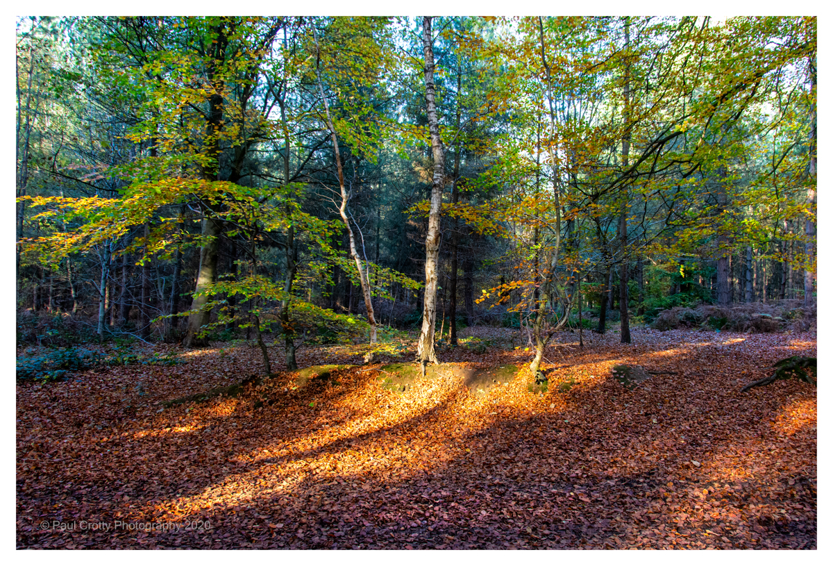 Harlestone Firs 5 11 20 (3 of 7)