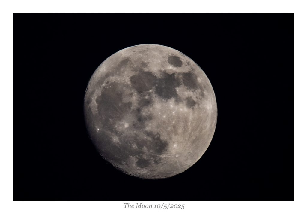 DSC_1282-Edit